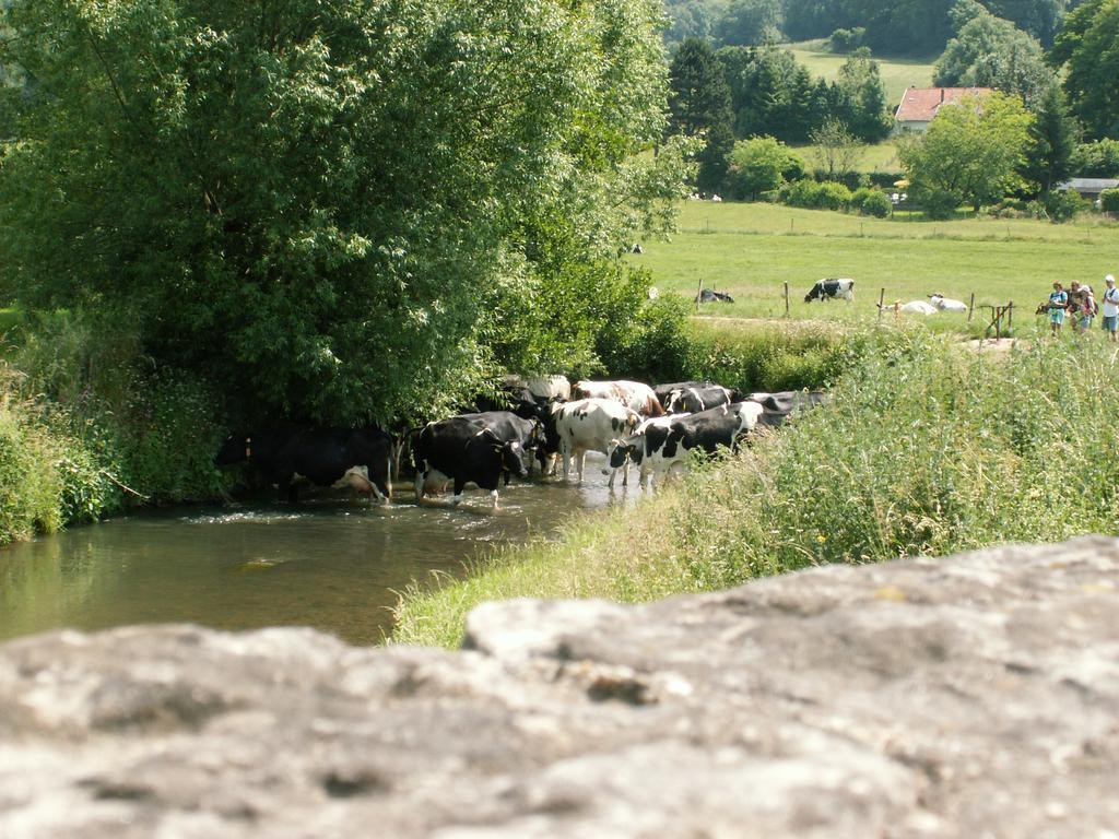 Auberge De Smockelaer Heijenrath Ruang foto